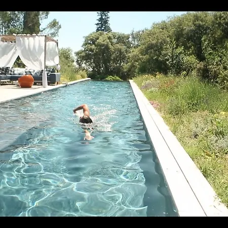 Couette-café Bien Loin D'ici