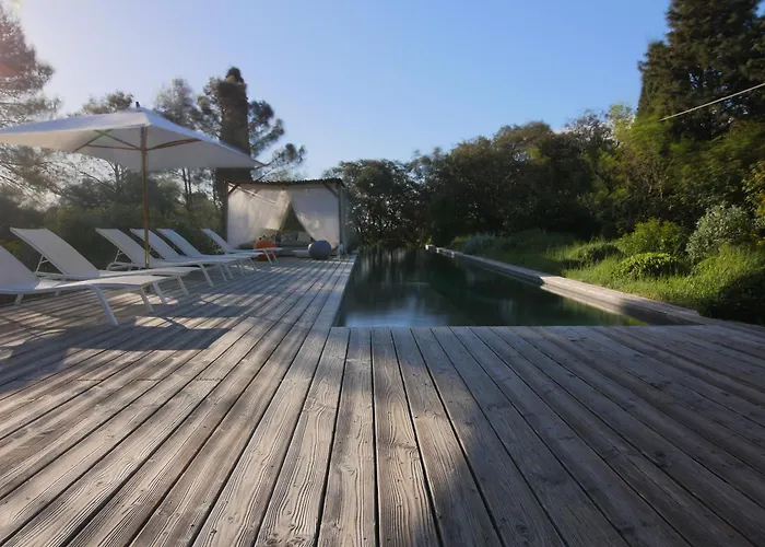 Bien Loin D'ici Nimes